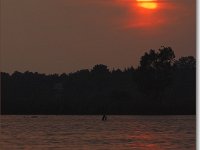 sized_Ringelsven_20080608 _13